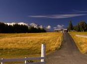 Trop Facebook peut tuer