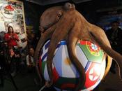 Voici statue Paul poulpe