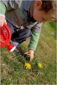 Bébés, enfants et écologie