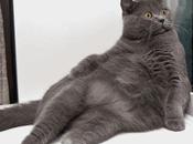 mise situation perspectives croissants