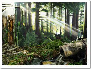 murale-graffiti-salon-chalets-maisons-de-campagne-stade-olympique-graffiti