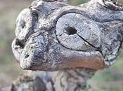 C'est vendredi Clic-Clac Dame Nature