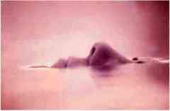 alzheimer maladie cout famille espoir.jpg