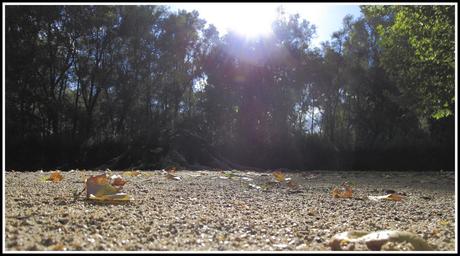 [Vos photos] Ville & Jardin