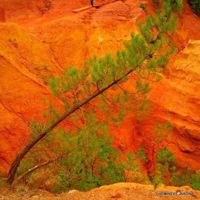 Risotto de petit épeautre , La vallée des Ocres