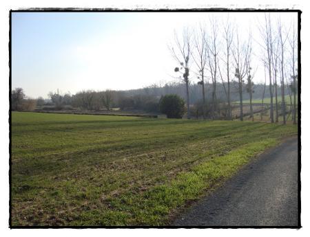 21 janvier 2010, je découvre la motte....