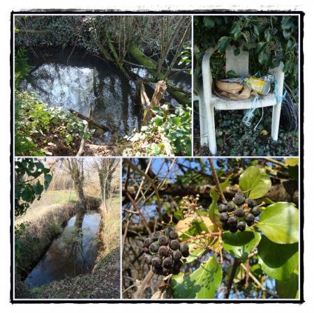 21 janvier 2010, je découvre la motte....