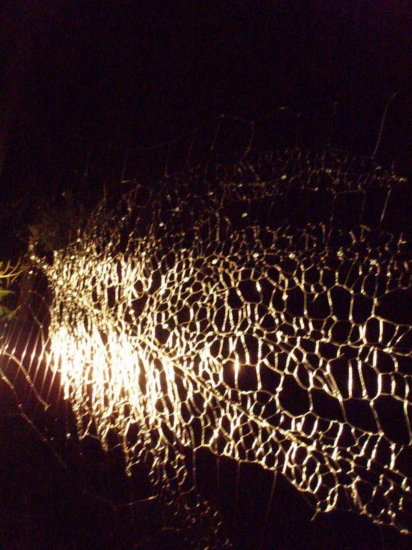 Vibrations de la lumière (Guillevic)