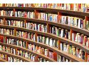 Paris 2010, l’année record pour bibliothèques municipales