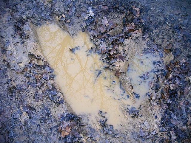 le râle  de rattrapage