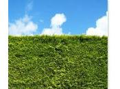 Scandale l’ADMR Finistère