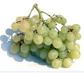 3 projets alsaciens surfent sur la 2ème vague -  Grappes d'Entreprises