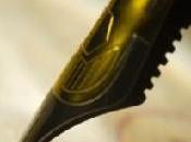 Seul importe pour écrire (Jean-Michel Maulpois)