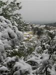 Murviel sous la neige 080110.jpg