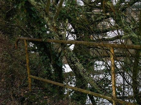 les chemins de la bohême les chemins de la bohême