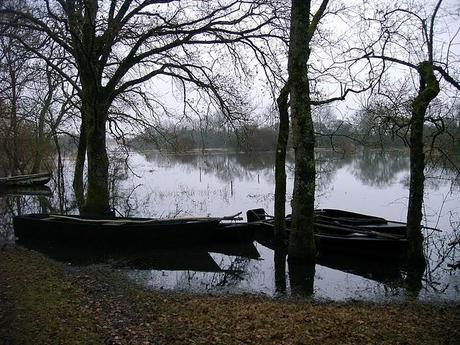 les chemins de la bohême les chemins de la bohême