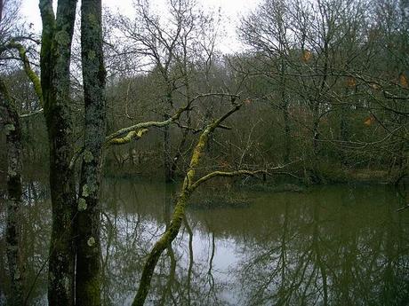 les chemins de la bohême les chemins de la bohême