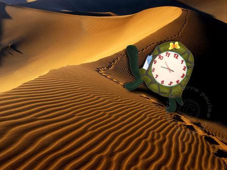Horloge_tortue3
