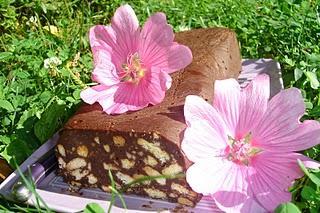 Mon top 10 de 2010 Mon top 10 de 2010