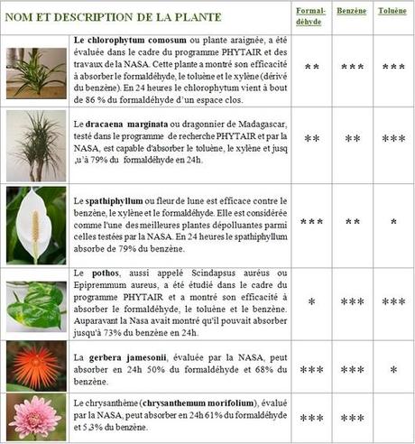 Combattre les pollutions bureautiques avec des plantes : mode d’emploi plantes_depolluantes_bureautique-extra_large.jpg