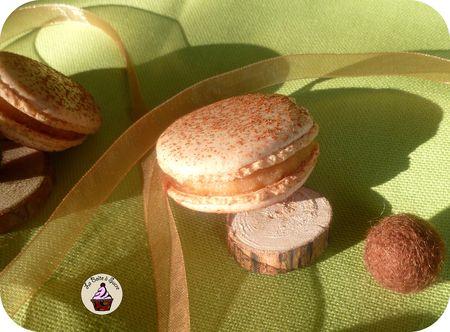 Macarons_pomme_cannelle_3