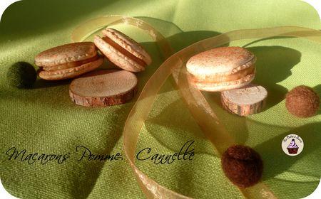 Macarons_pomme_cannelle