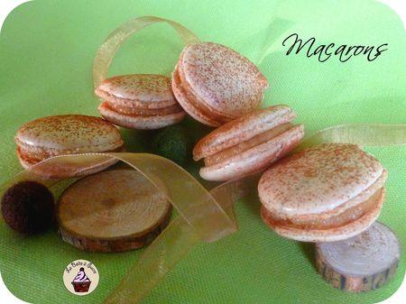 Macarons_pomme_cannelle_4
