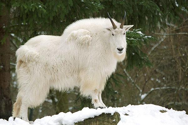 Le soleil t’ouvre sa main superbe (Leonardo Sinisgalli)