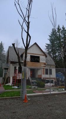 Cinquième jour de construction de la maison des SWAN