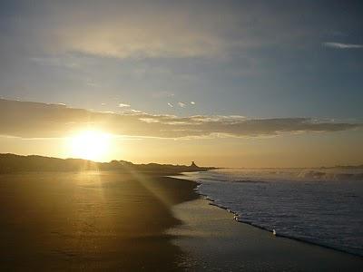 Geoffroy en Amérique latine