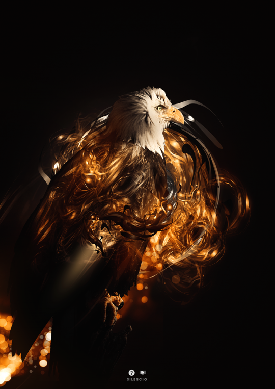 Nicolas Monin Baroille 07 540x763 Les illustrations de Nicolas Monin Baroille