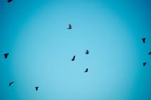 L'App Store iPhone/iPad ouvre son compte Twitter...