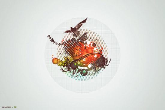 Nicolas Monin-Baroille