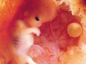 mystère d’être (Albert Strickler)