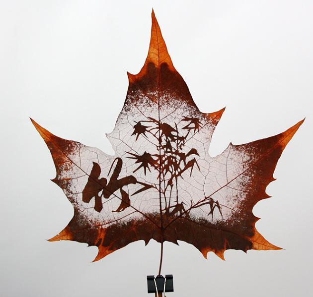 Des œuvres d’art écologique à partir de simples feuilles