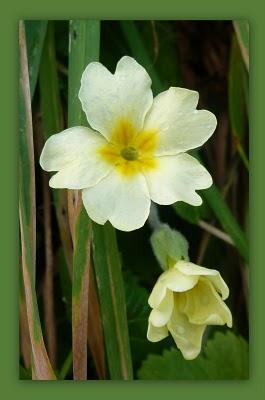      Surbookée en ce moment et toujou...