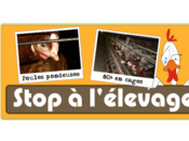 misère dans espace grand comme feuille format