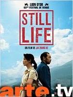 Ce soir à 22h40 sur Arte : Still Life de Jia Zhang-ke