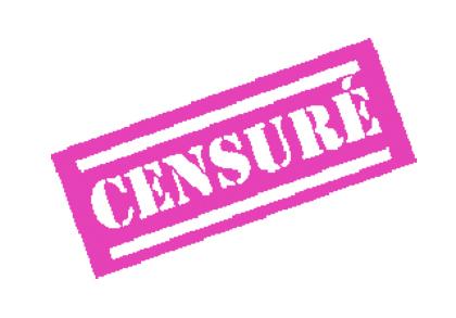 Maître Quatremer, inquisiteur libéral de troisième classe…