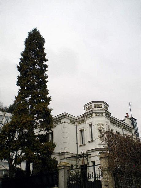 Balade au parc DSCN6395