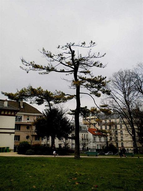 Balade au parc DSCN6393