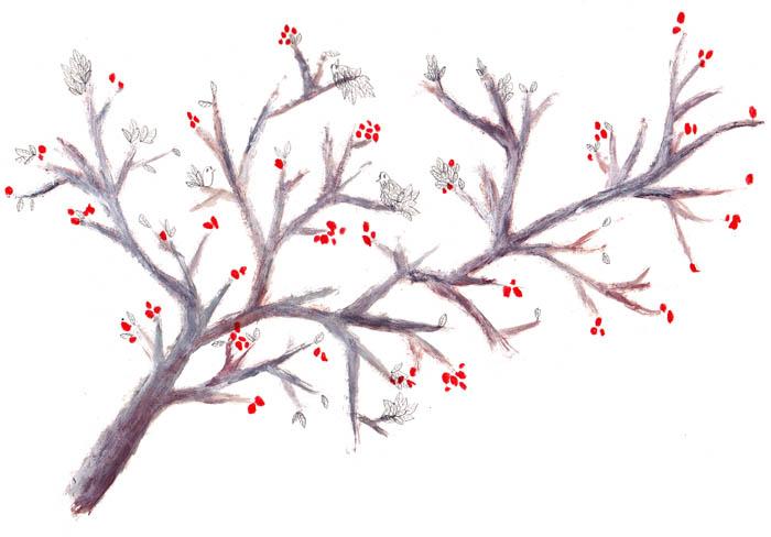 ce que l'on ne voit que d'en haut