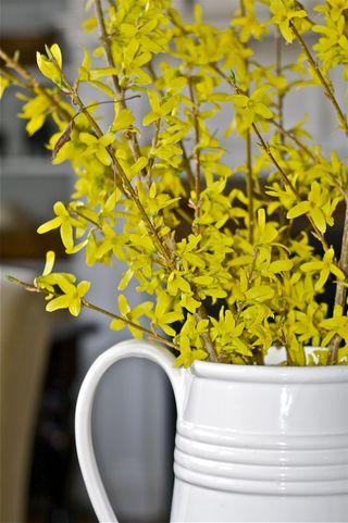 Bquet forsythia