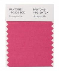 Honeysuckle-PANTONE-18-2120-correctedsilo-450x543.jpg