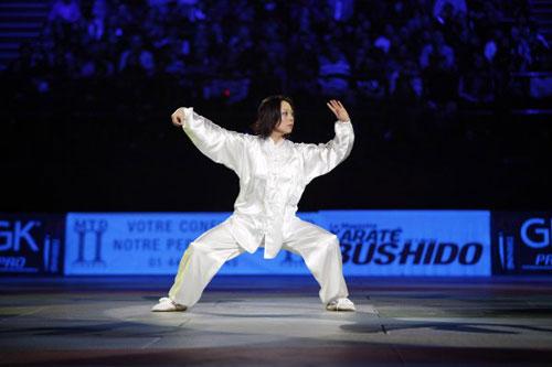 Le 26e Festival des Arts Martiaux