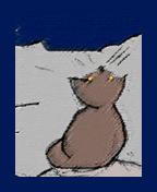 Ciel-d-hiver-Chat-copie-1.jpg