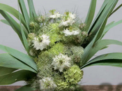 vendredi c'est fleuri