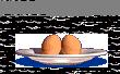 oeuf_pt-1.gif