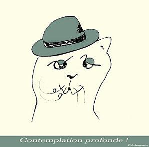 Chat-contemplation-profonde.jpg