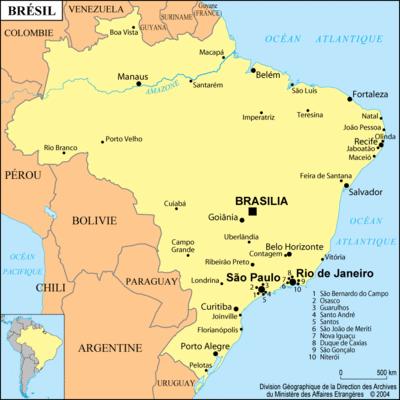 bresil.1296216501.gif